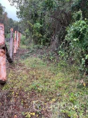 Vendo 1 hectarea cerca de osorno