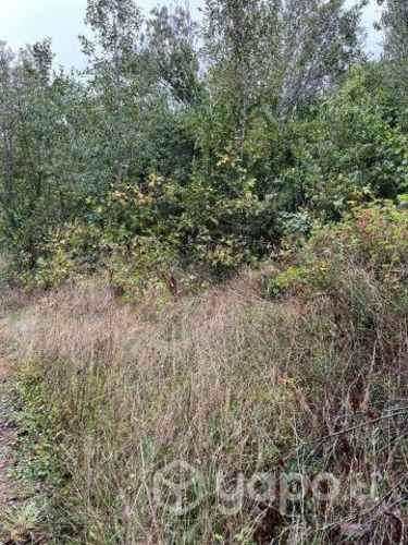 Vendo 1 hectarea cerca de osorno