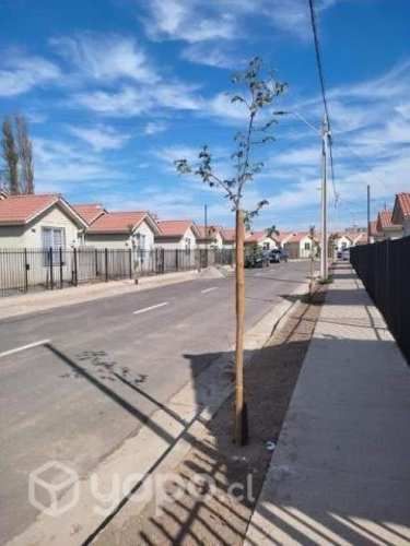 Cercana Hospital de Rancagua sin comisión