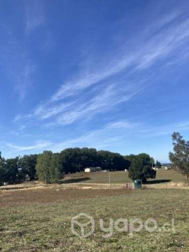 Parcela Las Encinas de Trumao