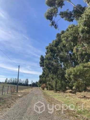 Parcela Las Encinas de Trumao