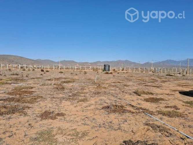 Parcela cerca de guanaqueros