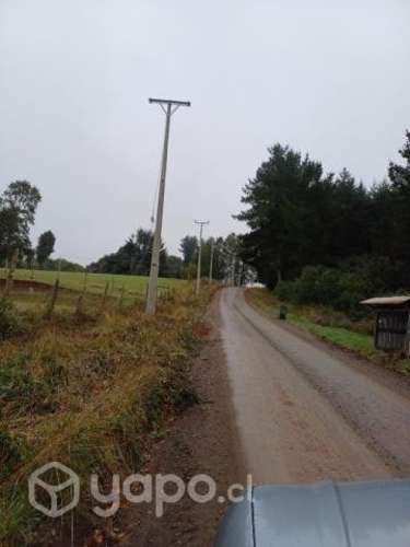 Vendo hermosa Parcela con bosque nativo