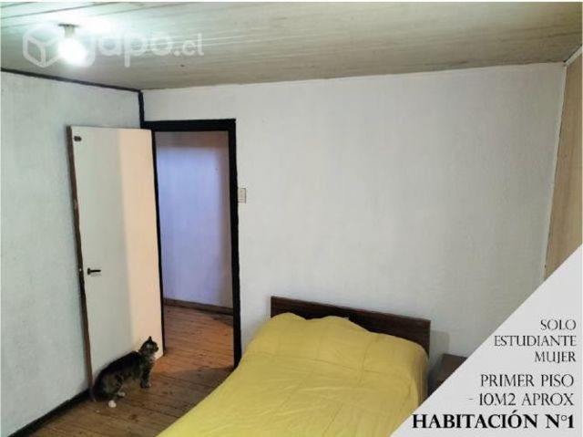 Habitación Estudiante Mujer