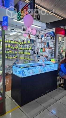 Local Comercial Feria Manuel Rodríguez