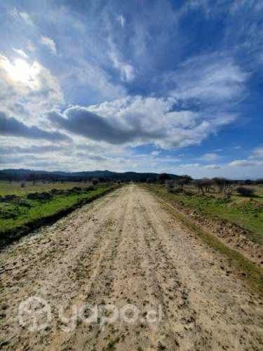 Parcela Cauquenes San Isidro