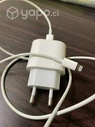 Cargador iPhone original