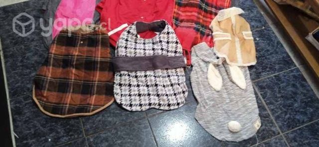 Lote ropa perro