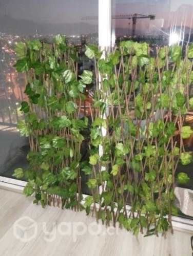 2 plantas extensible para jardín.