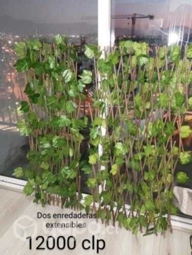 2 plantas extensible para jardín.