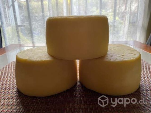 Quesos De Campo 100% Artesanales