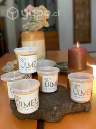 Miel de Ulmo