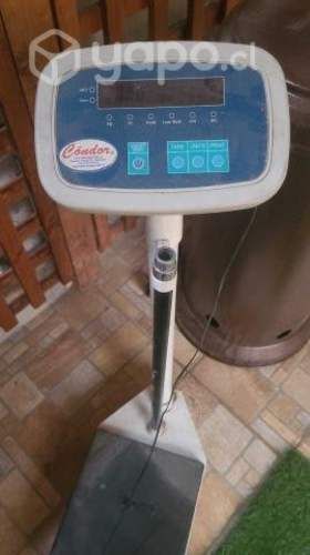 Balanza electronica digital