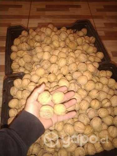 Nues chandler grandes 2000 kilos secas