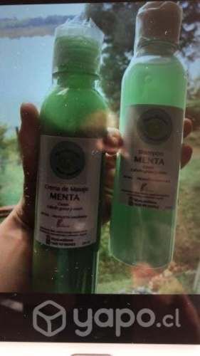 Shampoo naturales y organicos