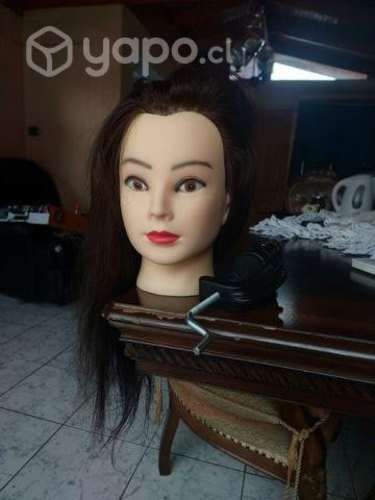 Cabeza técnica 80/20 con soporte