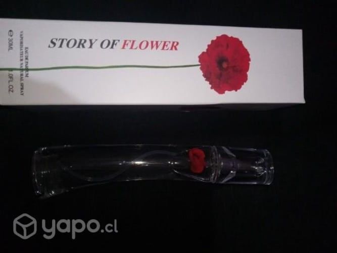 Perfumes de 100ml y de 30 ML