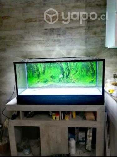 Kit Acuario 170 litros + mueble