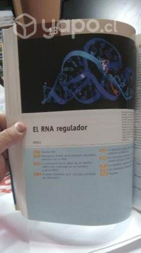 Genes fundamentos 2° edición