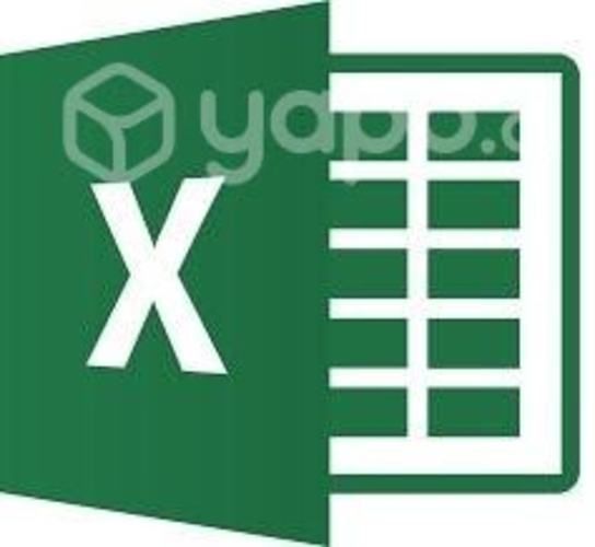 Clases Personales de Microsoft Excel a Domicilio