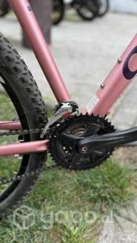 Bicicleta Oxford Aro 29 talla L