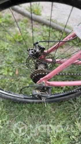 Bicicleta Oxford Aro 29 talla L