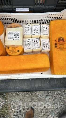 Queso Mantecoso de Frutillar