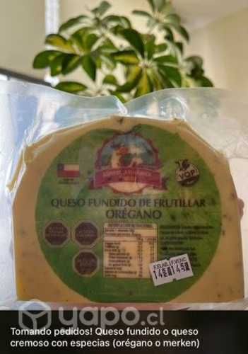 Queso Mantecoso de Frutillar