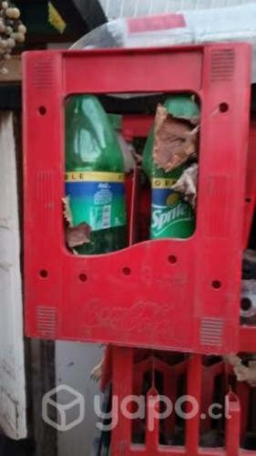 Cajas coca cola