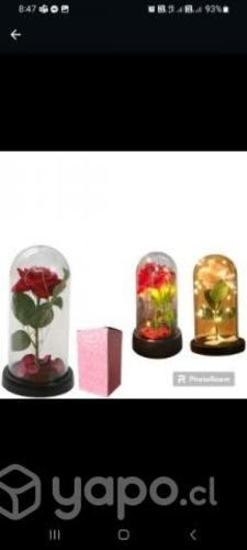 Rosas en cápsula con luz led