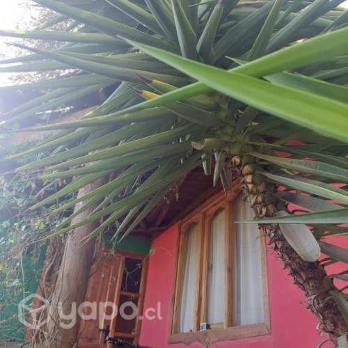 Departamento interior