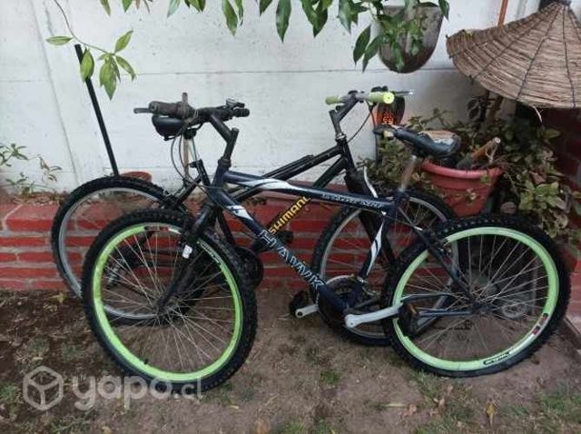 Bicicletas