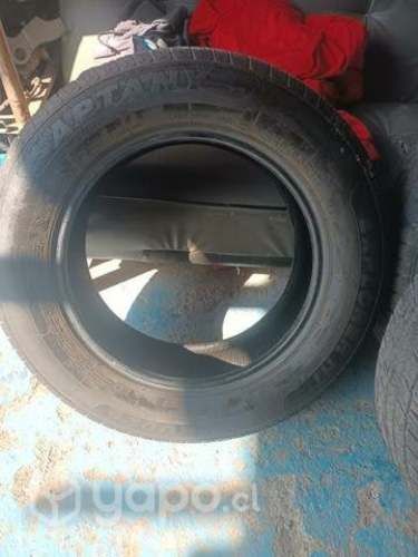 Neumáticos 225/65r10