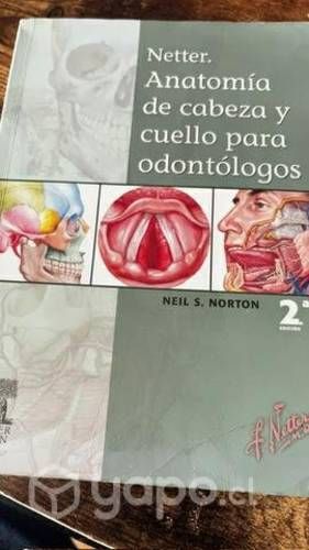 Netter de anatomía de cabeza y cuello odontologia