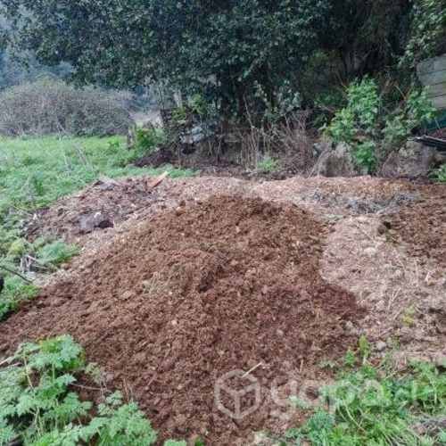 guano de caballo para abono
