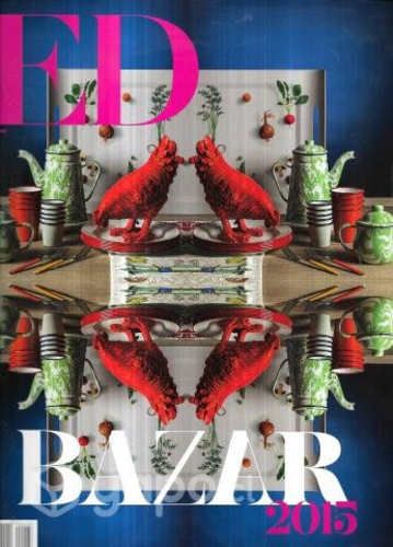 Revista ED Bazar Noviembre 2015 / N° 263