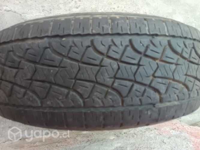 Neumáticos Pirelli