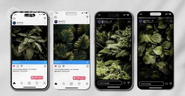Domina las Redes Sociales con Nuestro Servicio de