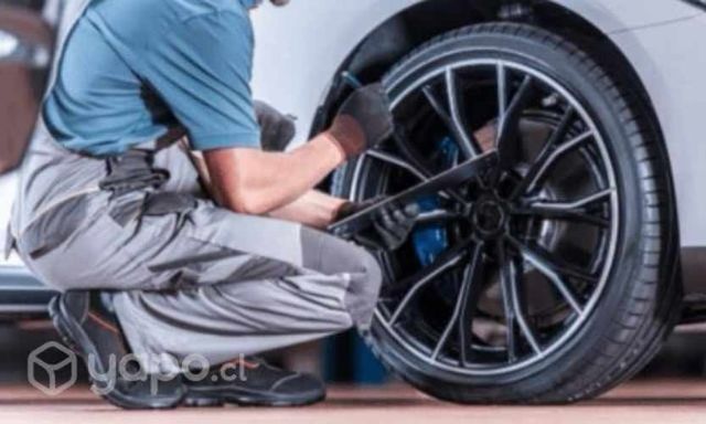 Mecanica rápida, pintura y scanner