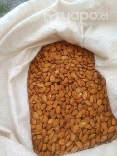 Almendras non pareil