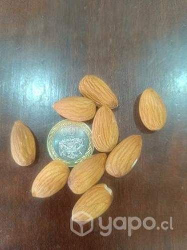 Almendras non pareil