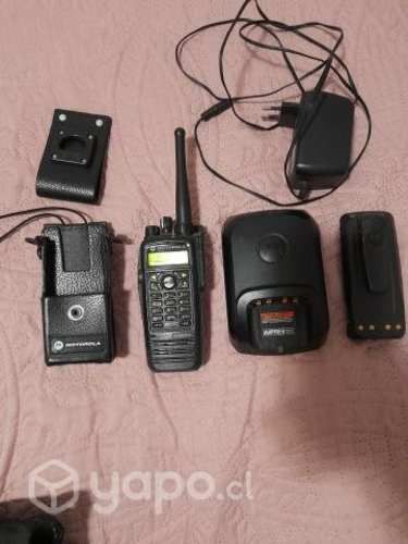 Radio Motorola DGP-6150 más adicionales.