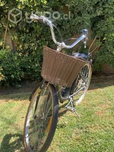 Bicicleta Oxford mujer