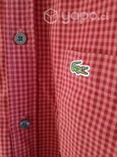Camisa LACOSTE XL Original
