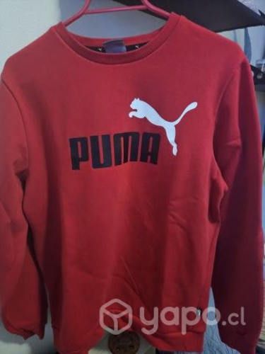 Poleron Puma