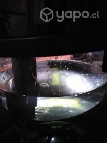 Limpieza anti alergias