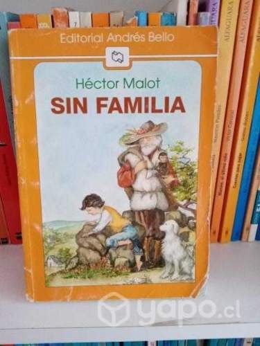 Sin Familia - Hector Malot
