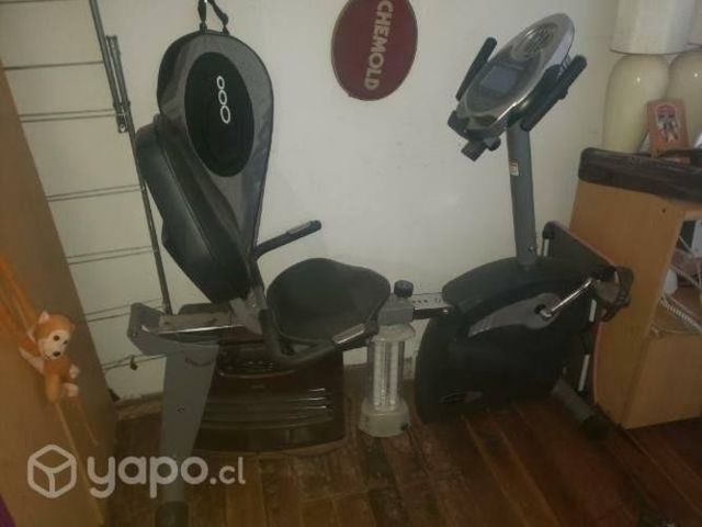 Bicicleta estatica, freno de magneto impecable