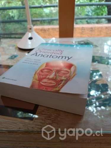 Libro anatomía de Moore en inglés 8va edición