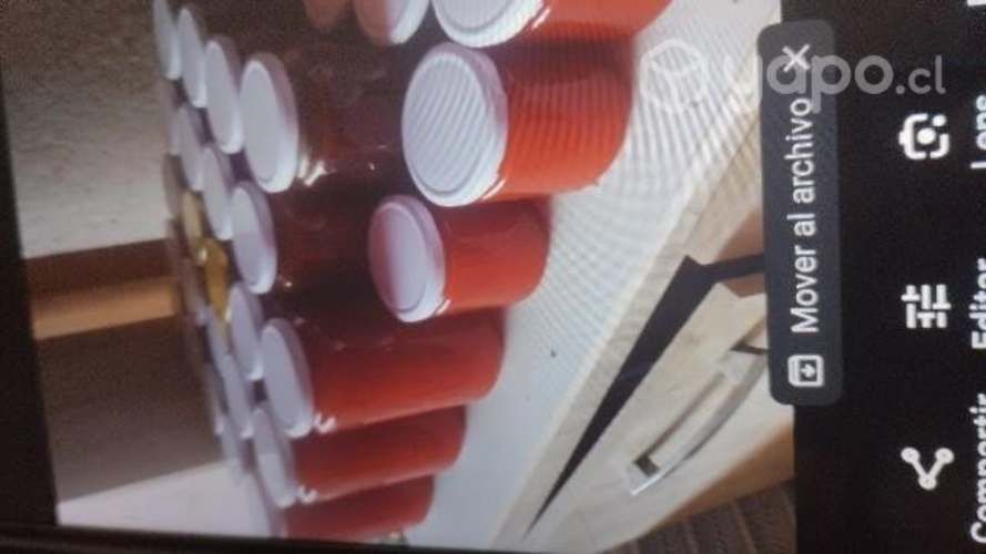 mermeladas de ciruela membrillo y mosque